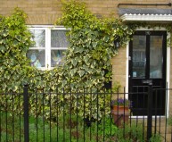 1 - Stepney_House_front_entrance